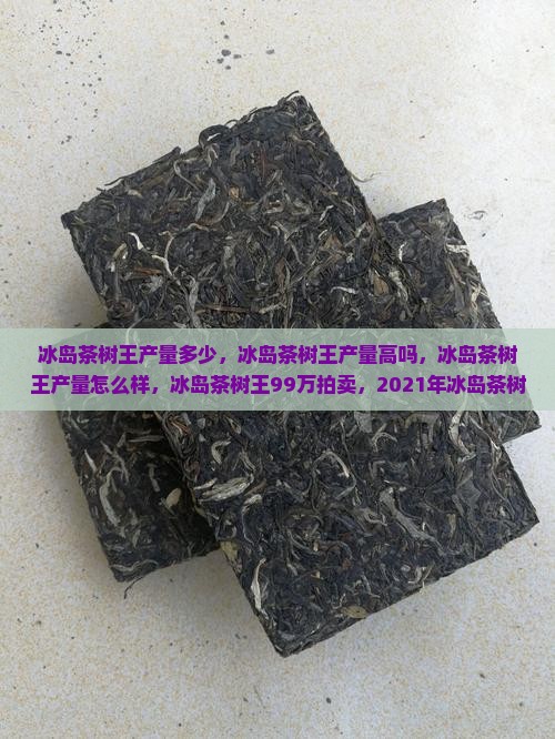 冰岛茶树王产量