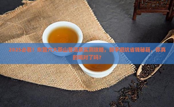 东营六大茶山普洱茶