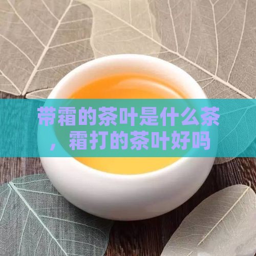 带霜的茶叶是什么茶