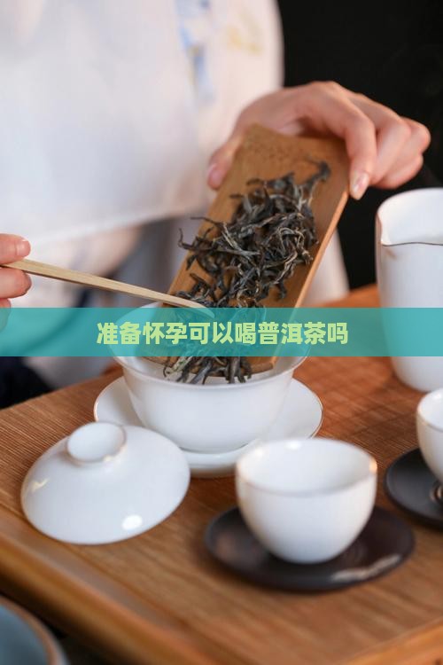 准备怀孕可以喝普洱茶吗
