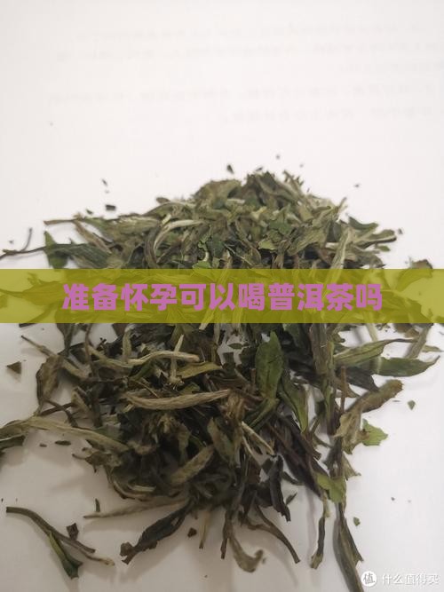准备怀孕可以喝普洱茶吗