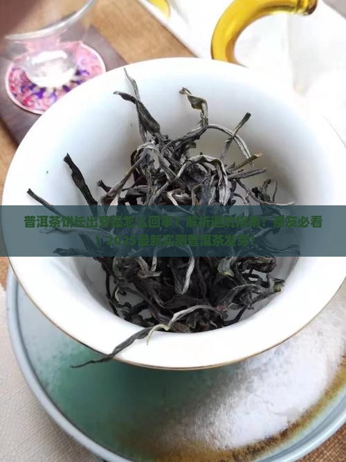 普洱茶饼长出芽是怎么回事