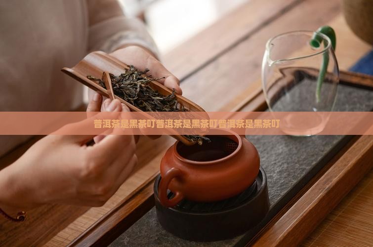 普洱茶是黑茶叮
