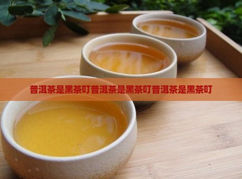 普洱茶是黑茶叮