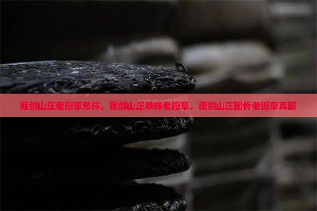 藏剑山庄老班章怎样