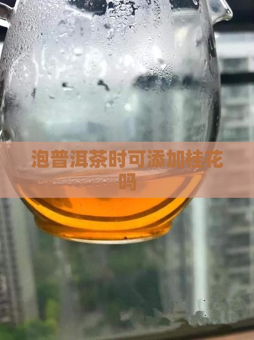 泡普洱茶时可添加桂花吗