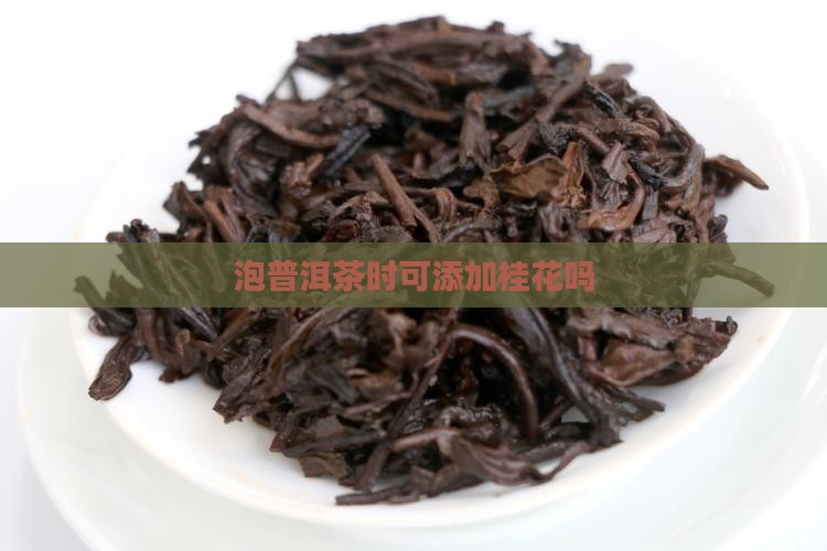 泡普洱茶时可添加桂花吗