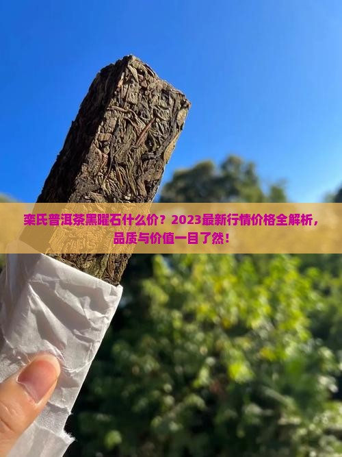 栾氏普洱茶黑曜石什么价