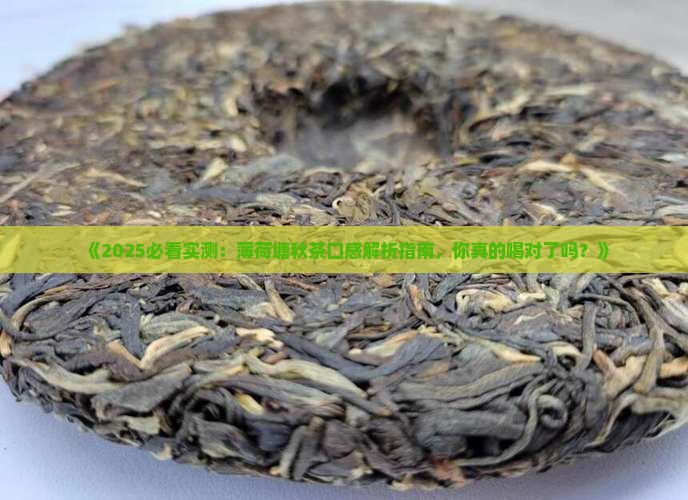 薄荷塘秋茶的口感