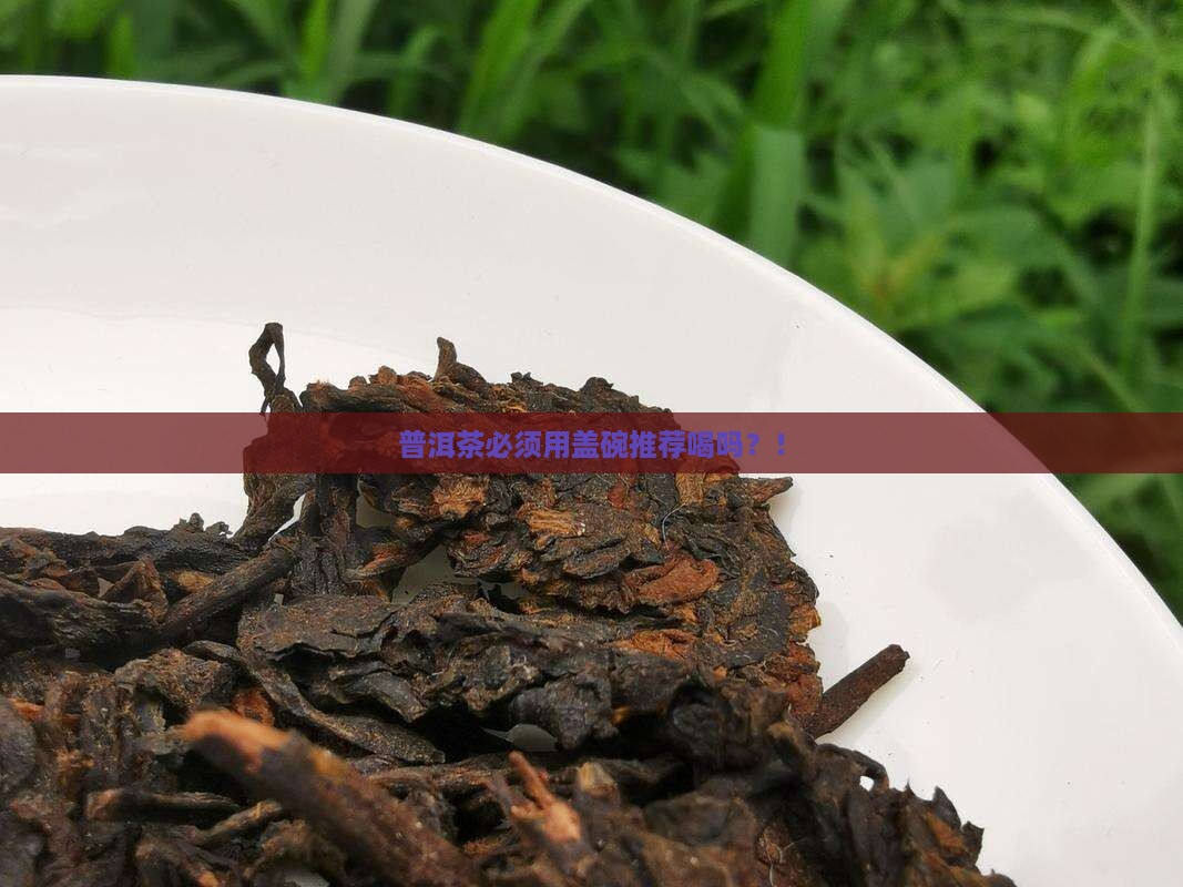 普洱茶必须用盖碗推荐喝吗