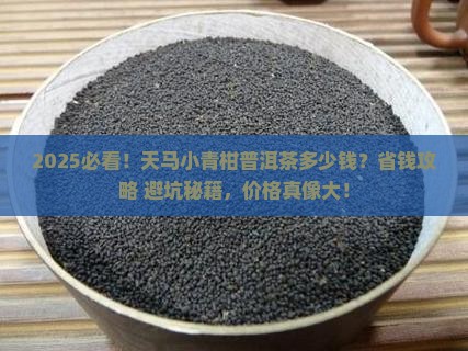 天马小青柑普洱茶多少钱
