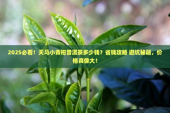 天马小青柑普洱茶多少钱