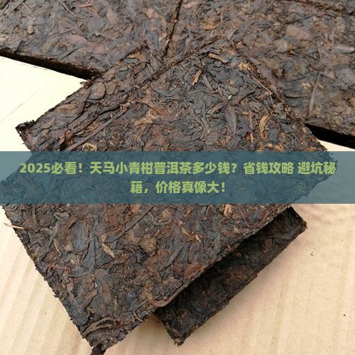 天马小青柑普洱茶多少钱
