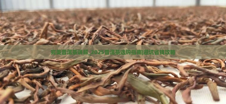 完美普洱茶讲解
