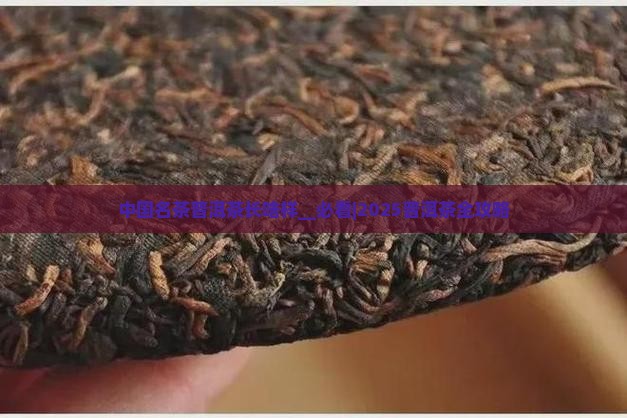 中国名茶普洱茶长啥样