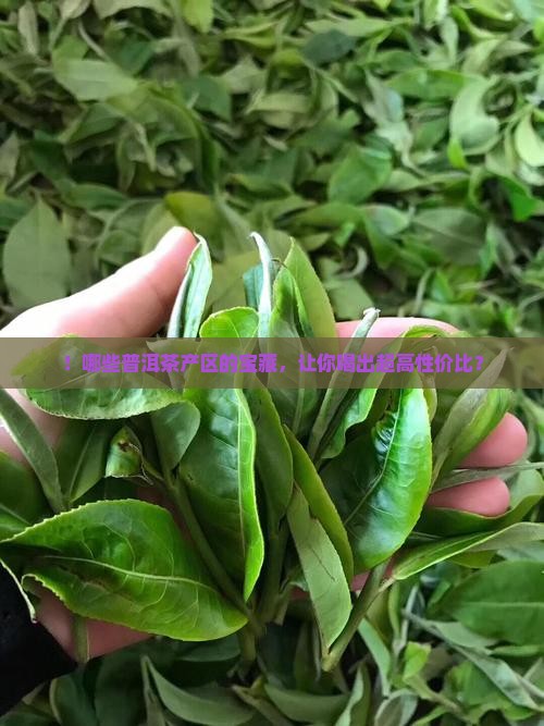 ！哪些普洱茶产区的宝藏，让你喝出超高性价比？
