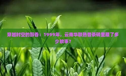 穿越时空的醇香：1999年，云南华联熟普茶砖里藏了多少故事？
