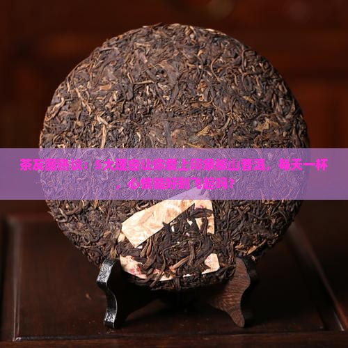 茶友圈热议：5大理由让你爱上印象板山普洱，每天一杯，心情能好到飞起吗？