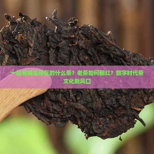 一品茗峰是现在的什么茶？老茶如何翻红？数字时代茶文化新风口