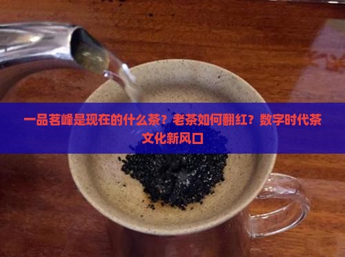 一品茗峰是现在的什么茶？老茶如何翻红？数字时代茶文化新风口