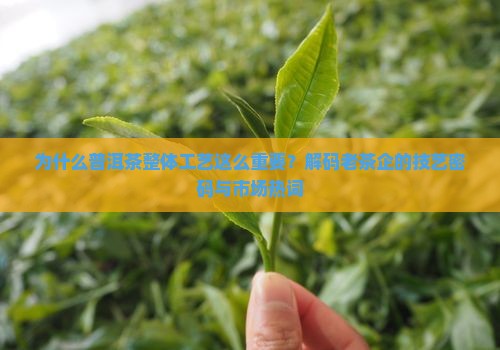为什么普洱茶整体工艺这么重要？解码老茶企的技艺密码与市场热词