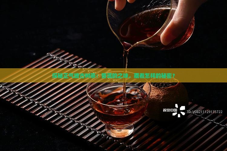 探秘正气塘古树茶：普洱的之味，藏着怎样的秘密？
