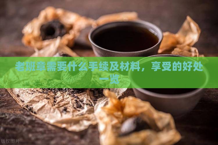 老班章需要什么手续及材料，享受的好处一览