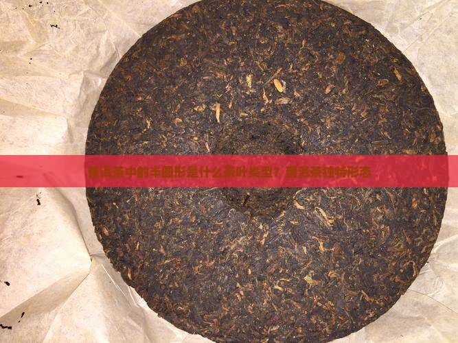 普洱茶中的半圆形是什么茶叶类型？普洱茶独特形态