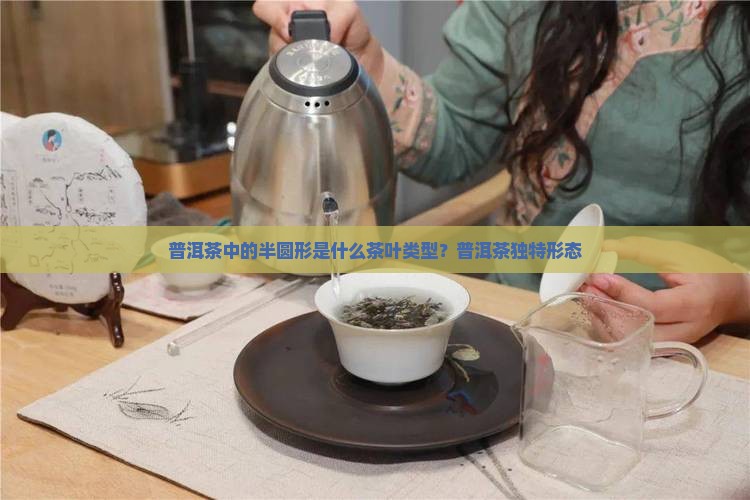 普洱茶中的半圆形是什么茶叶类型？普洱茶独特形态