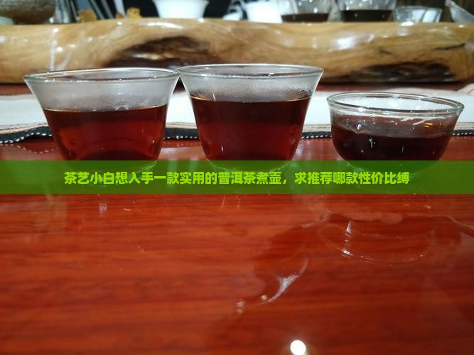茶艺小白想入手一款实用的普洱茶煮壶，求推荐哪款性价比缚
