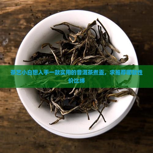 茶艺小白想入手一款实用的普洱茶煮壶，求推荐哪款性价比缚