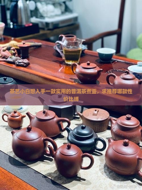 茶艺小白想入手一款实用的普洱茶煮壶，求推荐哪款性价比缚