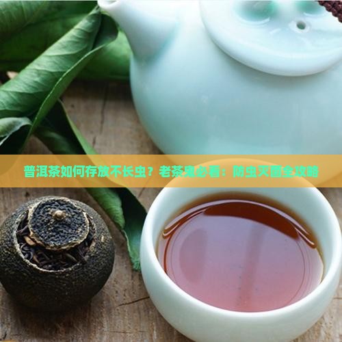 普洱茶如何存放不长虫？老茶鬼必看：防虫灭菌全攻略