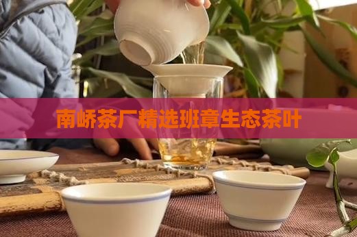 南峤茶厂精选班章生态茶叶