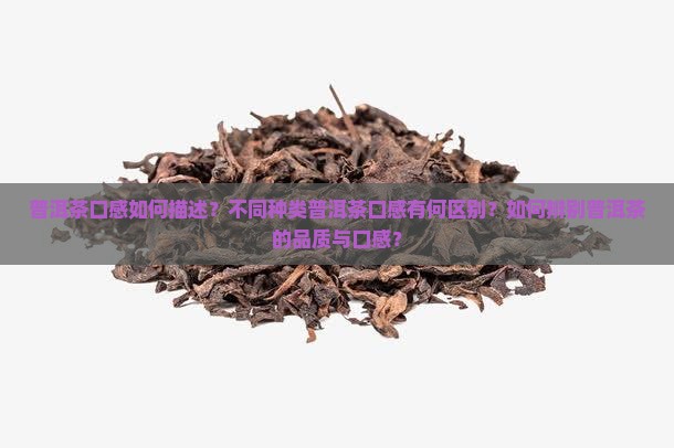 普洱茶口感如何描述？不同种类普洱茶口感有何区别？如何辨别普洱茶的品质与口感？