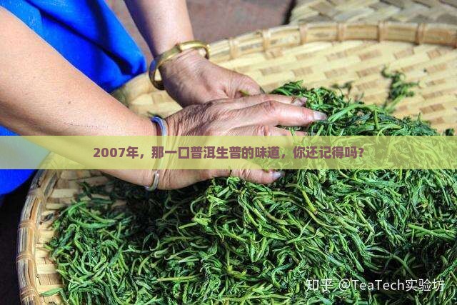 2007年，那一口普洱生普的味道，你还记得吗？