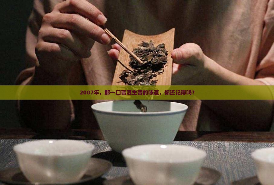 2007年，那一口普洱生普的味道，你还记得吗？