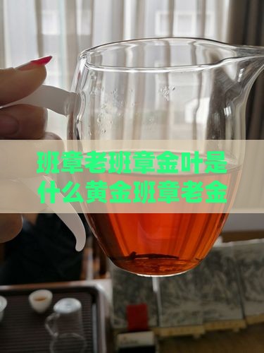班章老班章金叶是什么黄金班章老金叶