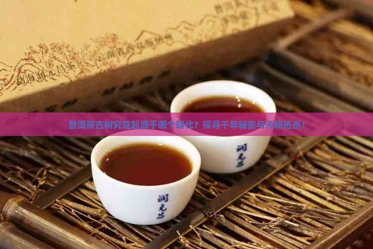 普洱茶古树究竟起源于哪个朝代？探寻千年秘密与市场热点！