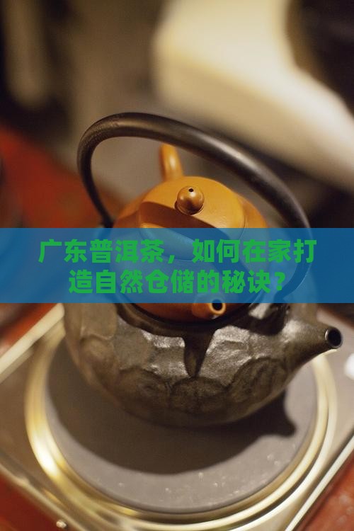 广东普洱茶，如何在家打造自然仓储的秘诀？