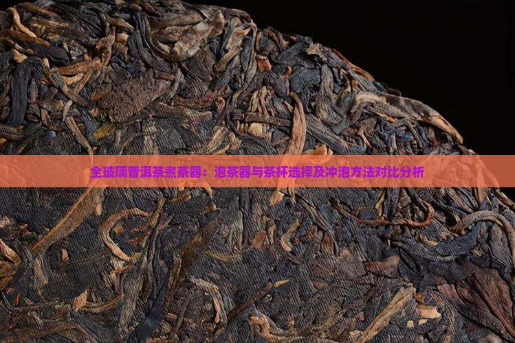 全玻璃普洱茶煮茶器：泡茶器与茶杯选择及冲泡方法对比分析