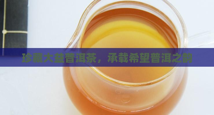 珍藏大益普洱茶，承载希望普洱之韵