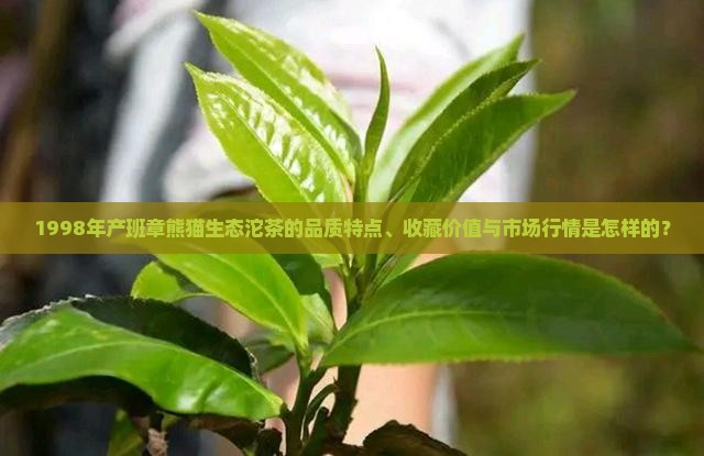 1998年产班章熊猫生态沱茶的品质特点、收藏价值与市场行情是怎样的？