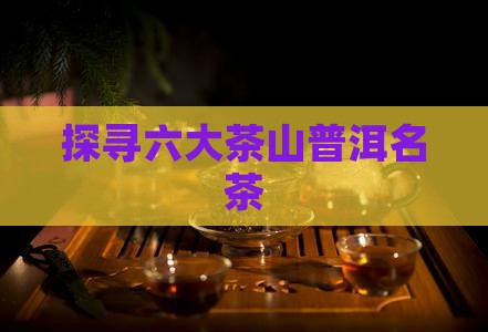 探寻六大茶山普洱名茶