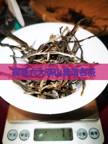 探寻六大茶山普洱名茶