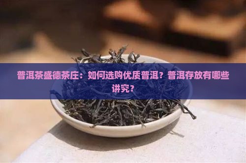普洱茶盛德茶庄：如何选购优质普洱？普洱存放有哪些讲究？
