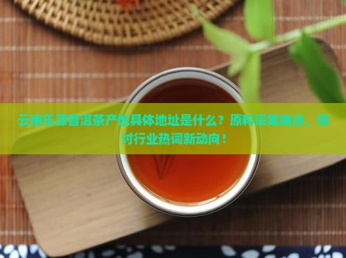 云南乐源普洱茶产地具体地址是什么？原料采集痛点，探讨行业热词新动向！
