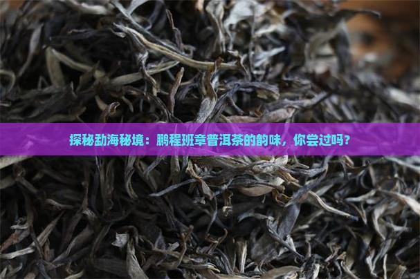 探秘勐海秘境：鹏程班章普洱茶的韵味，你尝过吗？