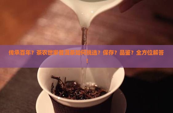 传承百年？茶农世家普洱茶如何挑选？保存？品鉴？全方位解答！