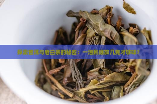 探索普洱与老白茶的秘密：一泡到底放几克才够味？